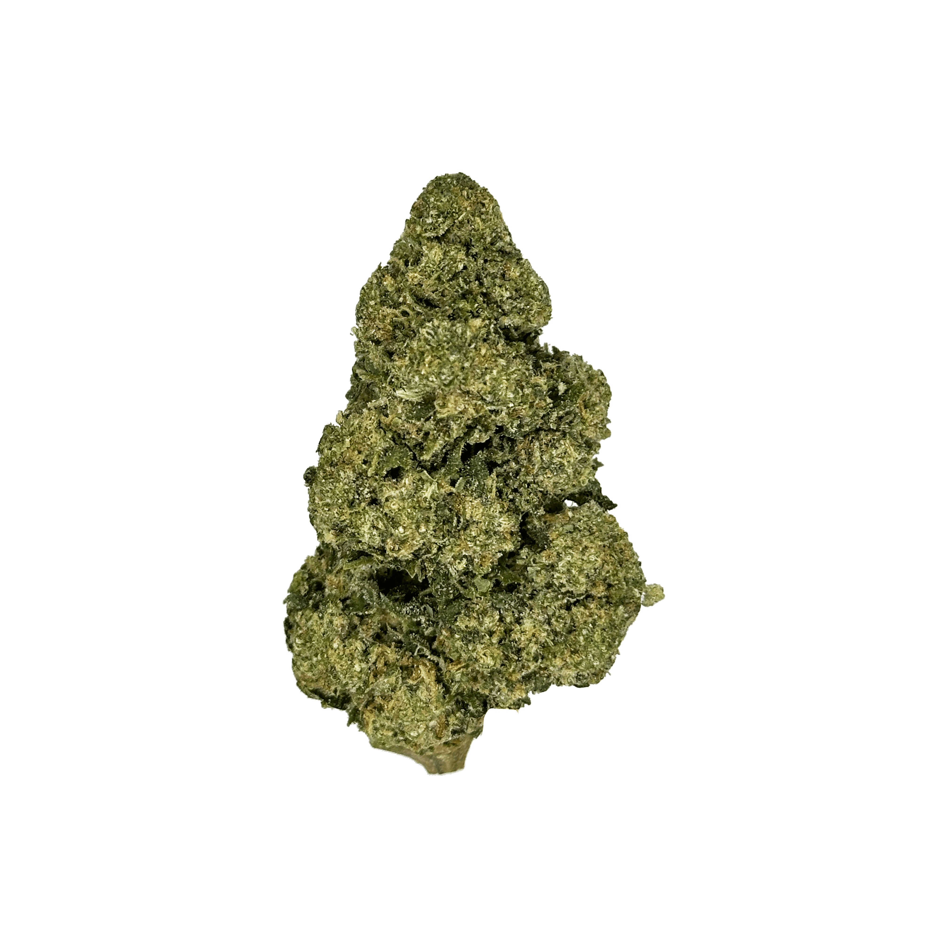 Jet Fuel Gelato THCa Flower